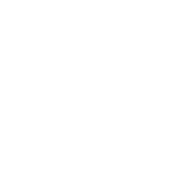 ERP Flexibility